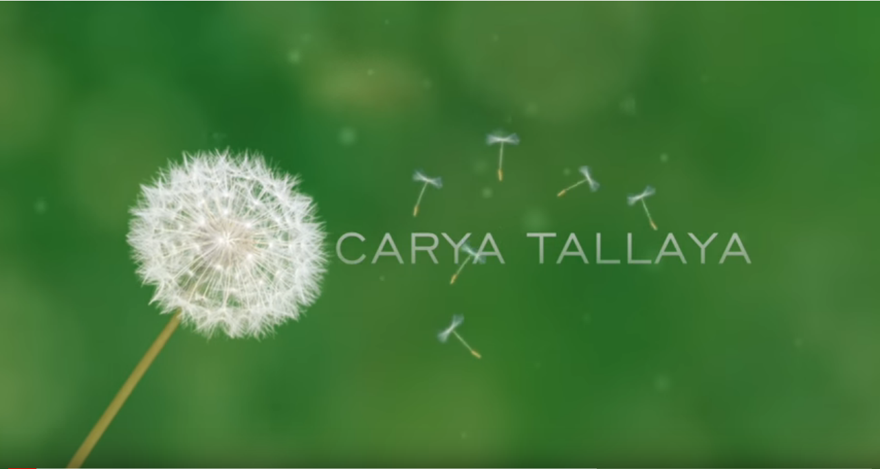 Carya Tallaya - Casas de Campo